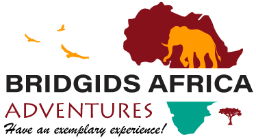 Bridgids Africa Adventures